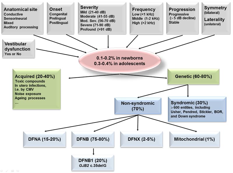 Family history of deafness