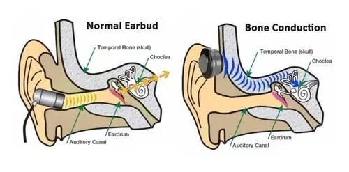 Two ways the human ear hears sound